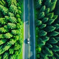 Aerial view green forest with car on the asphalt road