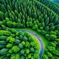 Aerial view green forest with car on the asphalt road