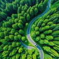 Aerial view green forest with car on the asphalt road