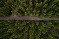 aerial view green forest landscape aerial natural scenery of pine trees and contrasting road path country path through pine trees