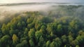 Aerial view of a green forest in the morning mist. Nature concept Royalty Free Stock Photo