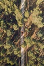 Aerial view of green forest and orange car on the road. Forest road going through forest with car adventure view from above Royalty Free Stock Photo