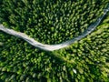 Aerial view of green forest road. Curved road from above Royalty Free Stock Photo