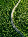 Aerial view of green forest road. Curved road from above