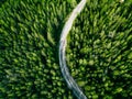 Aerial view of green forest road. Curved road from above