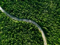 Aerial View Of Green Forest Road. Curved Road From Above