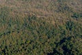 Aerial view of green forest in tropical. Royalty Free Stock Photo