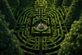 Aerial view of green garden like hedge maze, labyrinth of trimmed bushes in summer. Geometric pattern of plants in park. Concept