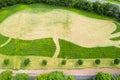 Aerial view on a green grass field with freshly cut field with strange shapes. Nature background. Design in forest park Royalty Free Stock Photo