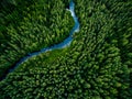 Aerial view of green grass forest with tall pine trees and blue bendy river flowing through the forest Royalty Free Stock Photo