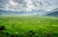 Aerial View of Green Lingko Spider Web Rice Fields with Sunlight Piercing Through Clouds to the Field with Raining. Flores, East N Royalty Free Stock Photo