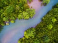 Aerial view of green mangrove forest and red blue river Royalty Free Stock Photo