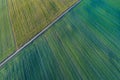 Aerial view of green meadow with diagonal lines from different crops of a field in early summer, Germany