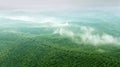 Aerial view of green palm oil plantation Royalty Free Stock Photo