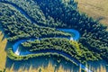 Aerial view of green pine forest and a road Royalty Free Stock Photo