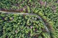 Aerial drone view of green pine forest road Royalty Free Stock Photo