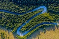 Aerial view of green pine forest and a road Royalty Free Stock Photo