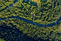Aerial view of green pine forest and a road Royalty Free Stock Photo