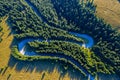 Aerial view of green pine forest and a road Royalty Free Stock Photo