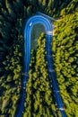 Aerial view of green pine forest and a road Royalty Free Stock Photo