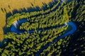 Aerial view of green pine forest and a road Royalty Free Stock Photo