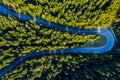 Aerial view of green pine forest and a road Royalty Free Stock Photo