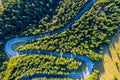 Aerial view of green pine forest and a road Royalty Free Stock Photo