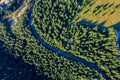 Aerial view of green pine forest and a road Royalty Free Stock Photo