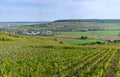 Aerial view on green premier cru champagne vineyards in Marne valley near Epernay, Champange, France