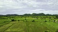 Aerial view of green rice field terrace in Thailand Royalty Free Stock Photo