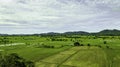 Aerial view of green rice field terrace in Thailand Royalty Free Stock Photo