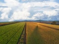 Aerial view of the green rice fields Royalty Free Stock Photo