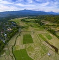 aerial view of green rice paddy field and sue tong pe bamboo bridge in maehongson most popular of culture and natural traveling d