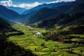 Aerial view of green rice terraces in Sapa, Vietnam, Aerial view of Paro Valley Bhutan, AI Generated