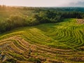 Aerial view of green rice terraces with warm sunrise. Countryside in Bali island Royalty Free Stock Photo