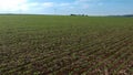 Aerial view of green soybean fiel