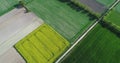 Drone aerial view of some fields of rapeseed and cereal crops Royalty Free Stock Photo