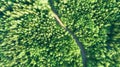 Aerial view of green summer forest road. Curved road from above. Royalty Free Stock Photo