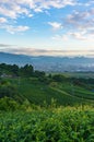 Aerial view of green tea plantations and Shizuoka city Royalty Free Stock Photo