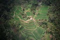 Aerial view of the green Tegalalang Rice Terraces in Bali, Indonesia Royalty Free Stock Photo