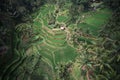 Aerial view of the green Tegalalang Rice Terraces in Bali, Indonesia Royalty Free Stock Photo