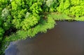 The aerial view of the green trees and water plants along Becks Pond, Newark, Delaware, U.S.A