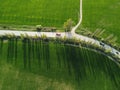 Aerial view on green wheat field in countryside. Field of wheat blowing in the wind on sunset. Young and green Spikelets Royalty Free Stock Photo