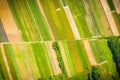 Aerial view on green and yellow parts of fields and countryside