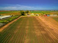 View of green young field crops.