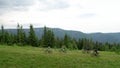 Aerial view group of cyclists men riding electric bikes outdoors in the mountains at summer.