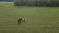 Aerial view of group of fox hunters on the horses in the autumn field. Equestrian riding sport in a countryside