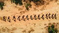 Aerial view of a group of people running in a line, creating a visual representation of human evolution Royalty Free Stock Photo