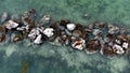 Aerial view of a group of rocks in South Florida