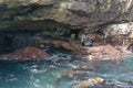 Aerial view of a group of south american sea lions, Otaria flavescens Royalty Free Stock Photo